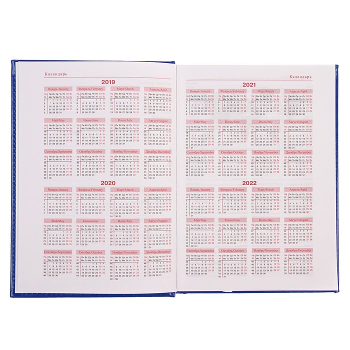 Ежедневник датированный 2019 г А5, 336 страниц, Небраска, синий