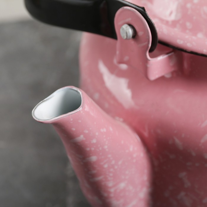 Чайник 3,5 л "Перлина", эмалированная крышка