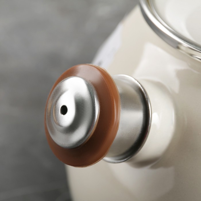 Чайник 2,5 л Olive, эмалированная крышка, свисток