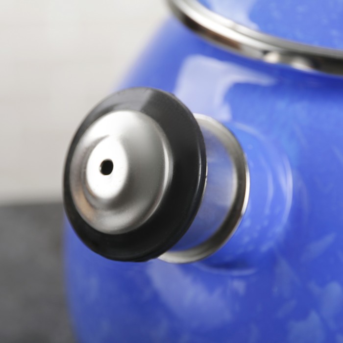 Чайник 2,5 л "Снежок", эмалированная крышка, свисток