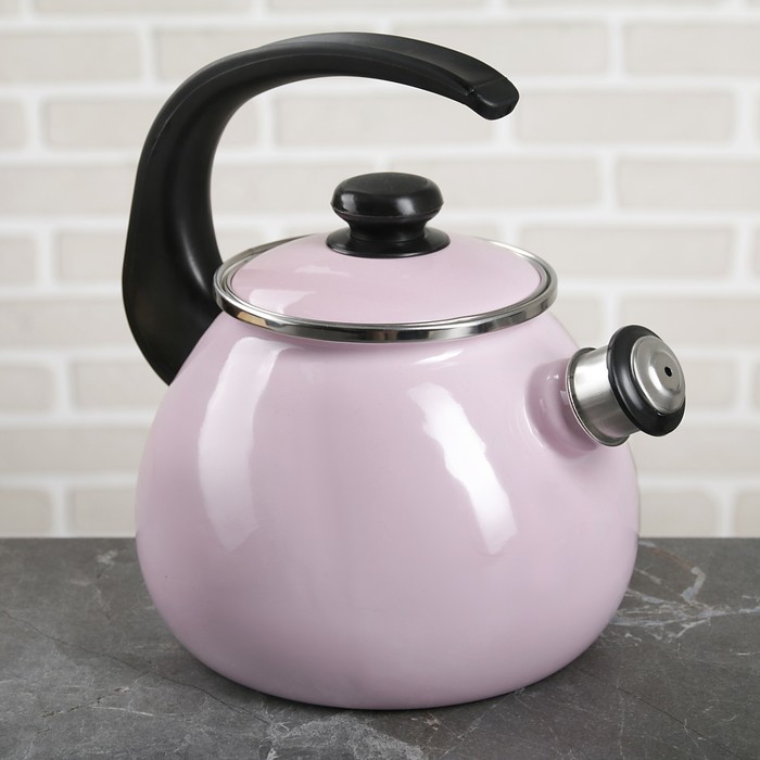 Чайник с толстым дном. Чайник эмалированный со свистком Эстет. Чайник эмалированный со свистком 2,5л (букет, таково, 334541, 2,50 л, 20). Чайник со свистком Regent 2,5. Чайник со свистком розовый.