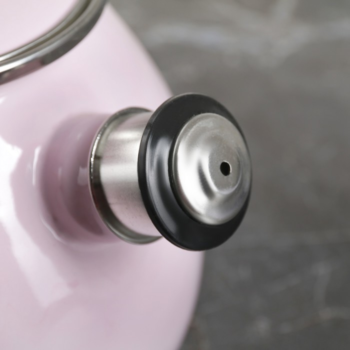 Чайник 2,5 л "Розовая", эмалированная крышка, свисток