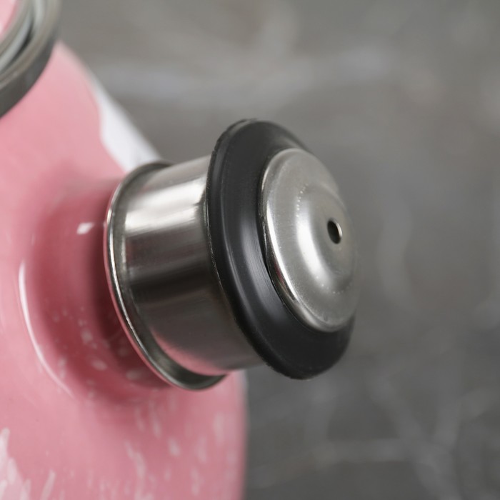 Чайник 2,5 л "Перлина", эмалированная крышка, свисток