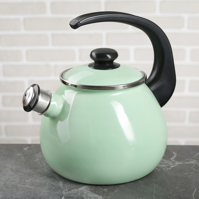 Чайник 2,5 л "Мятная прохлада", эмалированная крышка, свисток
