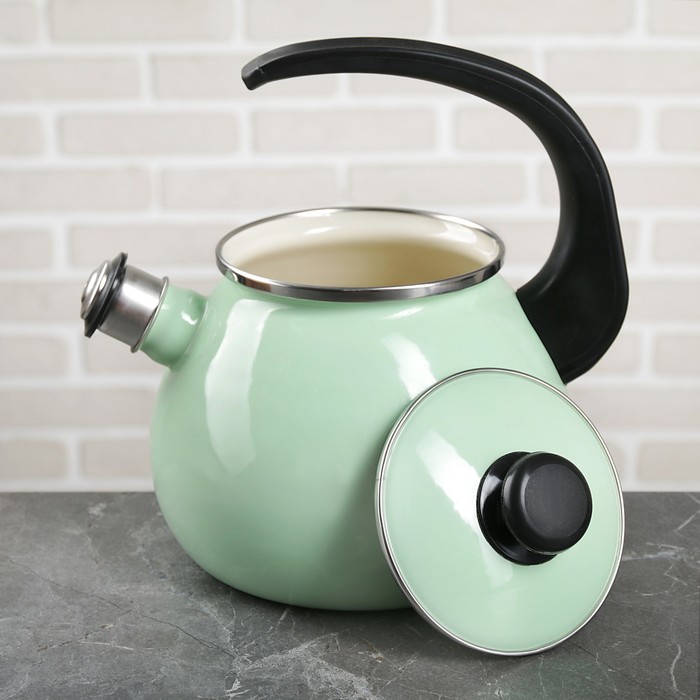 Чайник 2,5 л "Мятная прохлада", эмалированная крышка, свисток