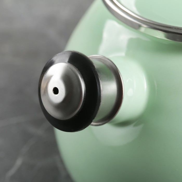 Чайник 2,5 л "Мятная прохлада", эмалированная крышка, свисток