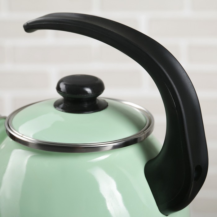 Чайник 2,5 л "Мятная прохлада", эмалированная крышка, свисток