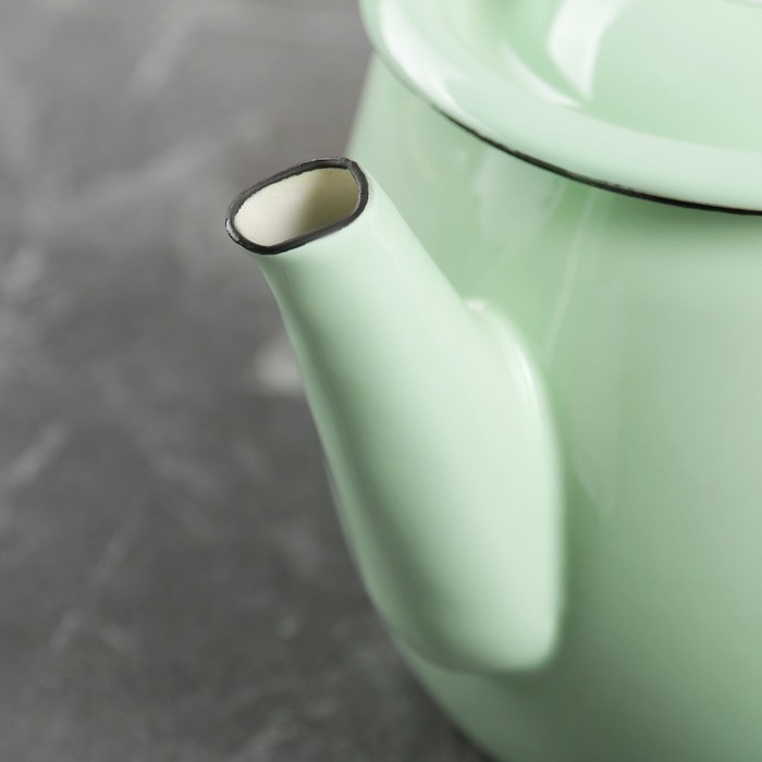 Чайник 1 л "Мятная прохлада", эмалированная крышка