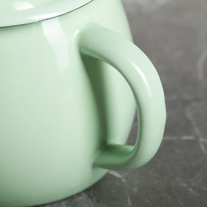 Чайник 1 л "Мятная прохлада", эмалированная крышка