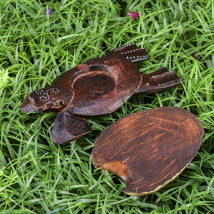 Набор сувенирный "Черепашки яркие" (12,15,20) 20х20х7 см