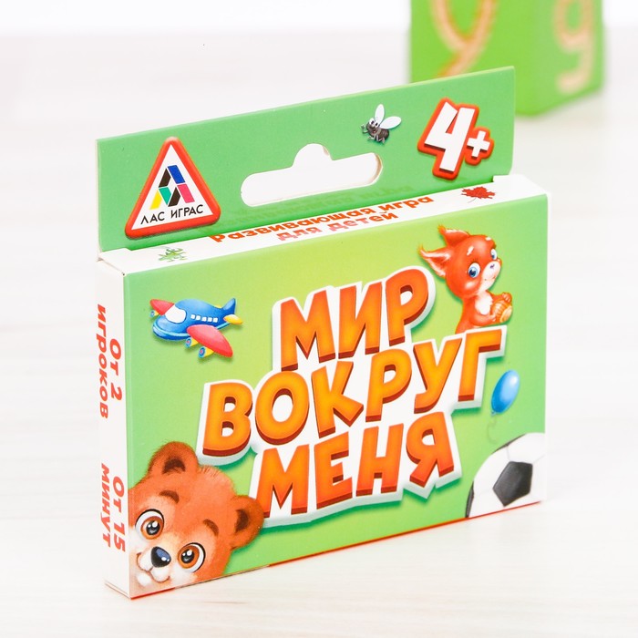 Игра развивающая "Мир вокруг меня"