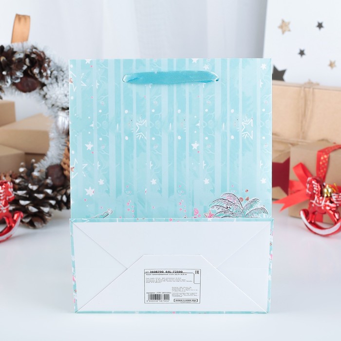 Пакет ламинированный, люкс, 17,8 х 22,9 х 9,8 см