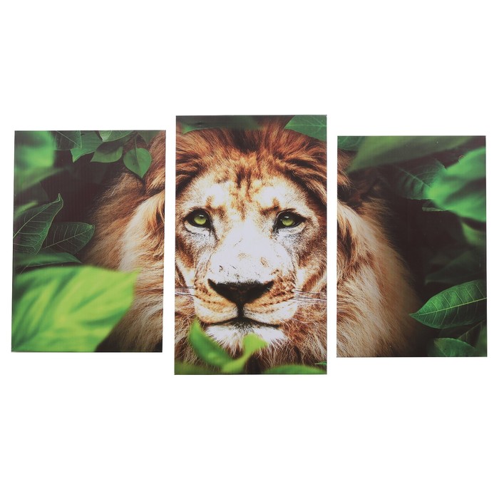 Картина модульная на подрамнике "Лев" (45х31, 53х31, 45х31) 93х53 см