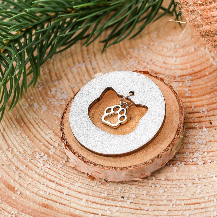 Значок в коробочке "Котик"