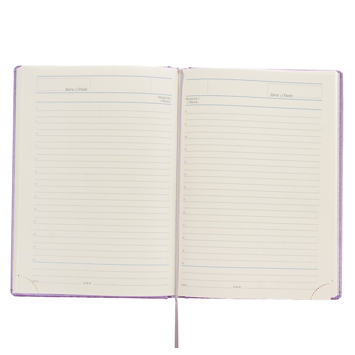 Ежедневник недатированный А5, 176 листов Erich Krause Sideral, тонированная бумага, фиолетовый металлик