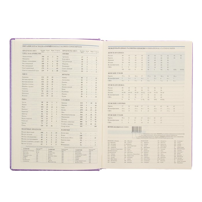 Ежедневник недатированный А5, 176 листов Erich Krause Sideral, тонированная бумага, фиолетовый металлик