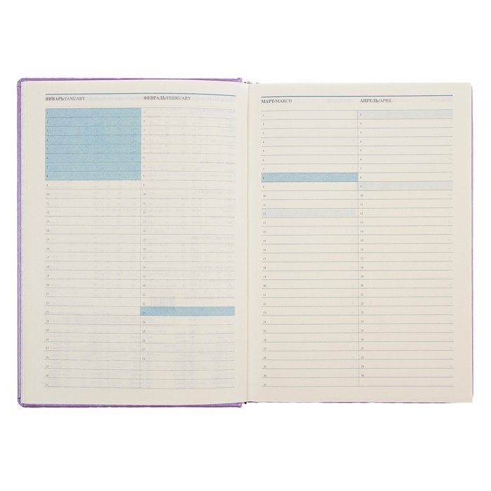 Ежедневник недатированный А5, 176 листов Erich Krause Sideral, тонированная бумага, фиолетовый металлик