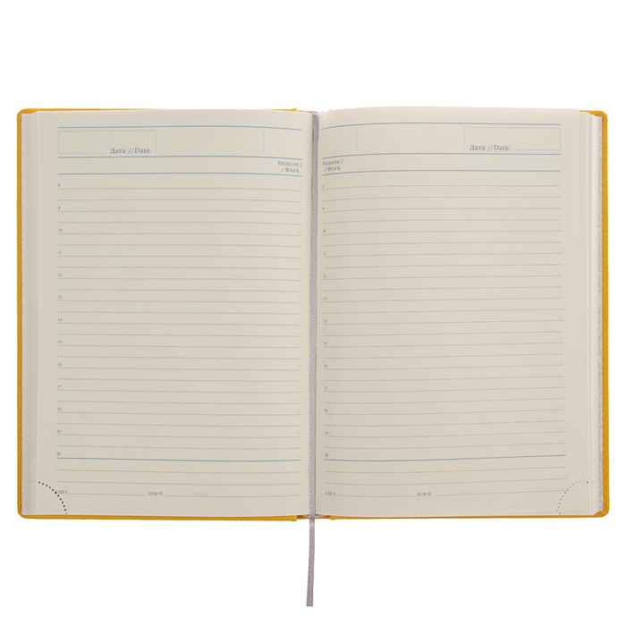 Ежедневник недатированный А5, 176 листов Erich Krause Silhouette, тонированная бумага, желтый