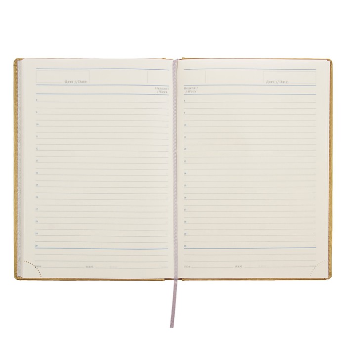 Ежедневник недатированный А5, 176 листов Erich Krause Sideral, тонированная бумага, золотой