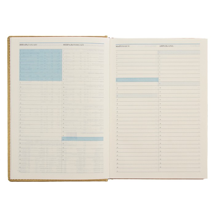 Ежедневник недатированный А5, 176 листов Erich Krause Sideral, тонированная бумага, золотой