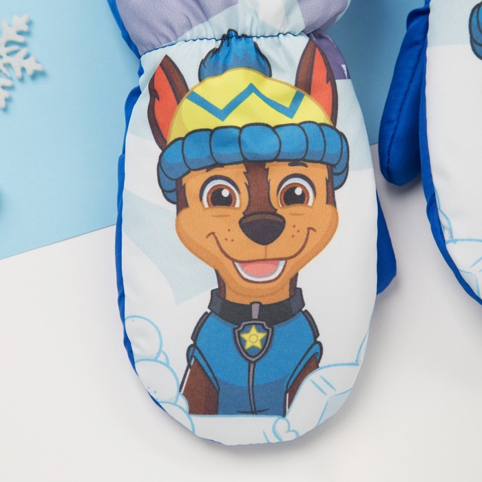 Варежки зимние PAW PATROL "Гончик" р-р 12