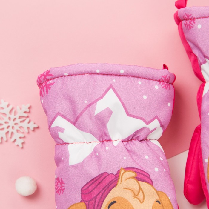 Варежки зимние PAW PATROL "Скай" р-р 12