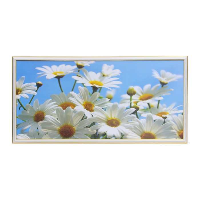 Картина "Ромашки" 36*72 см