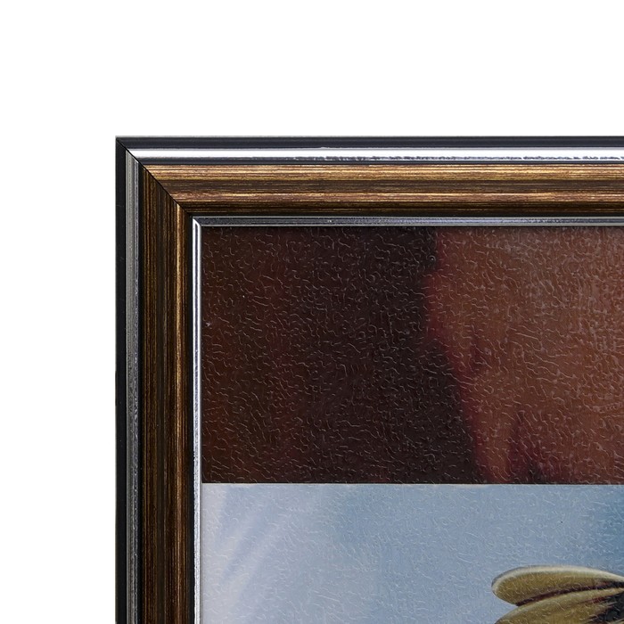 Картина "Золотые маки" 23*53 см