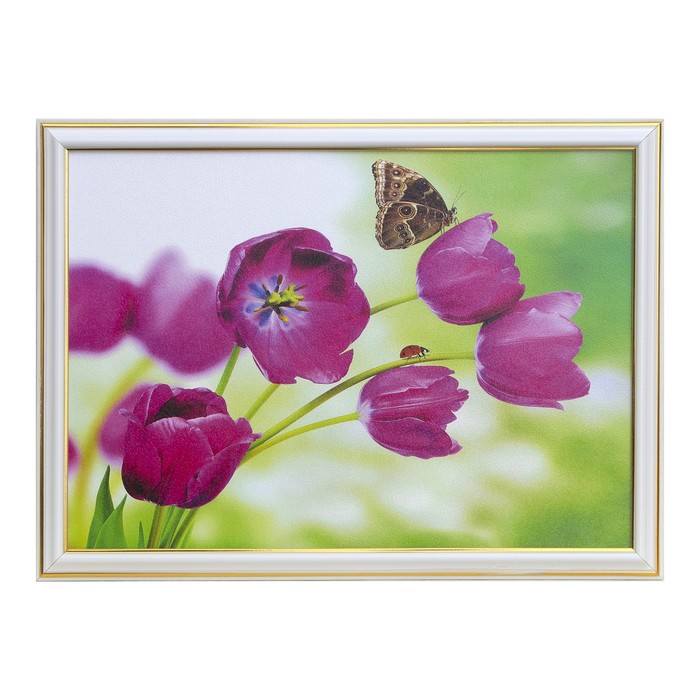 Картина "Бабочка на тюльпанах" 28*38 см