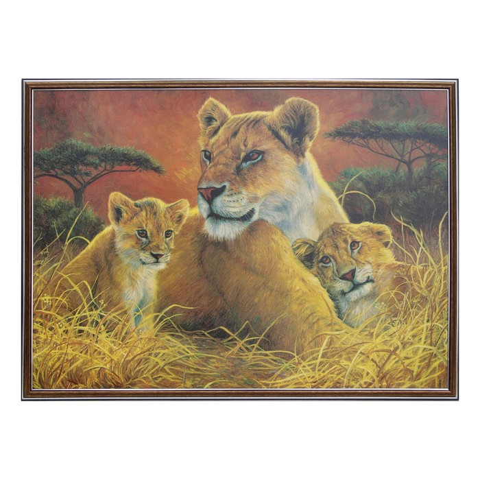 Картина "Львы" 53*72 см