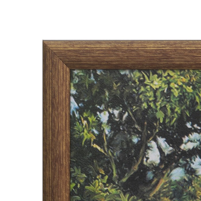 Картина "Львиная семья" 64*104 см