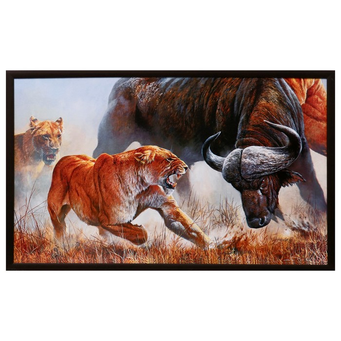 Картина "Схватка" 64*104 см