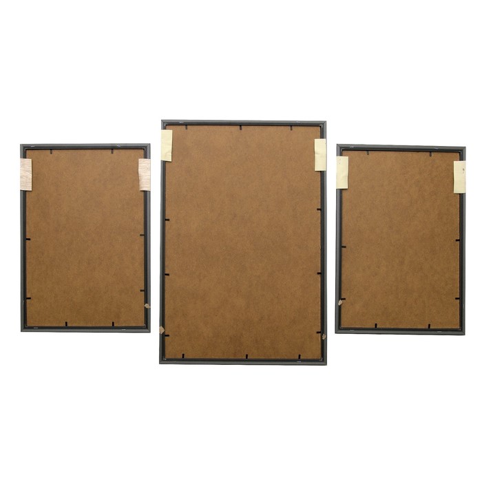 Модульная картина "Красные маки" 62*108 см (33х48-2, 42х62)