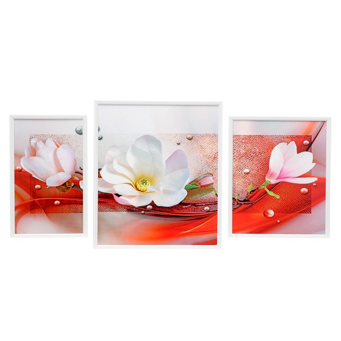 Модульная картина "Нежные цветы" 53*108 см (45х33, 36х43, 27х43)