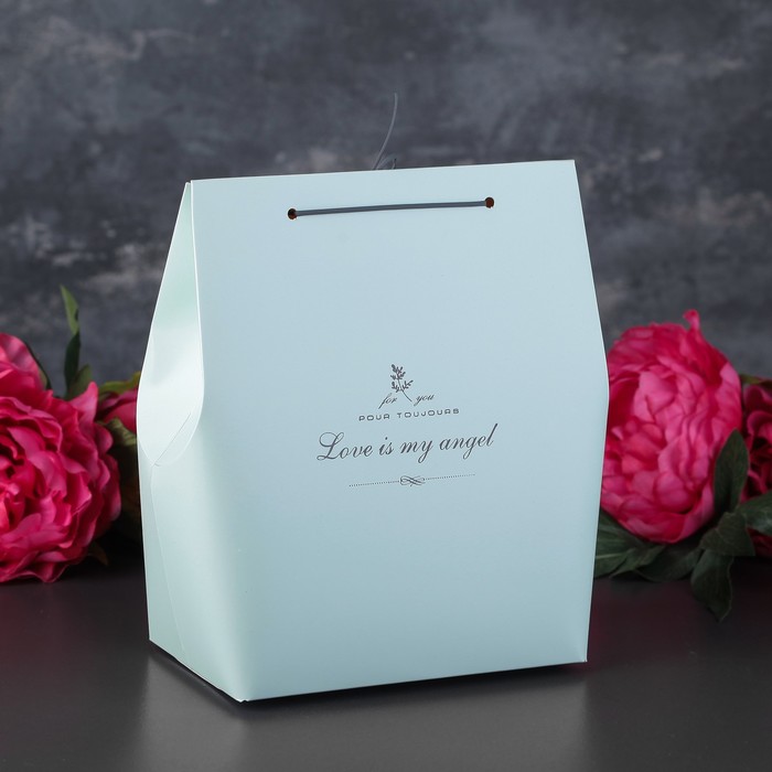 Пакет бумажный 11 х 18 х 25 см