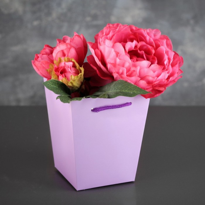 Переноска для цветов 13 х 13 х 15,5 см