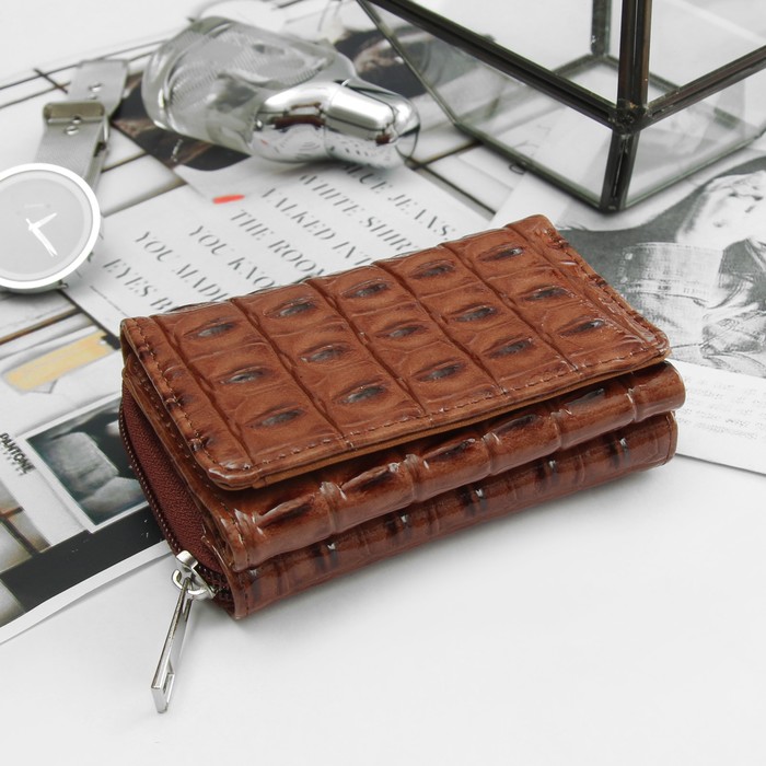 Кошелёк женский, 2 отдела на молнии, 2 отдела, для карт, на клапане, цвет коричневый