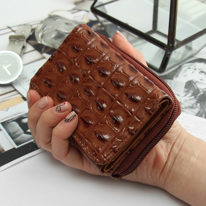 Кошелёк женский, 2 отдела на молнии, 2 отдела, для карт, на клапане, цвет коричневый