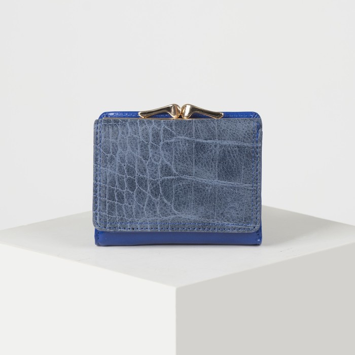 Кошелёк женский, отдел рамка, 2 отдела, для карт, на клапане, цвет синий