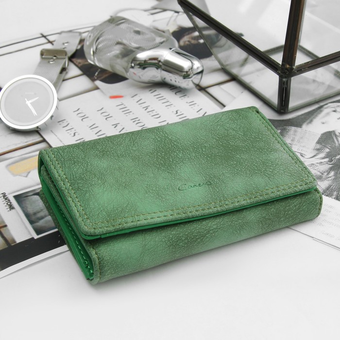 Кошелёк женский, отдел рамка, 2 отдела, для карт, на клапане, цвет зелёный