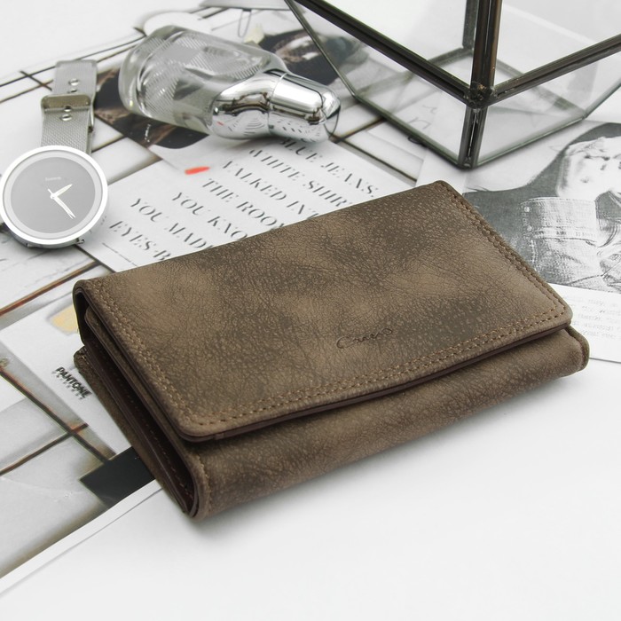 Кошелёк женский, отдел рамка, 2 отдела, для карт, на клапане, цвет коричневый