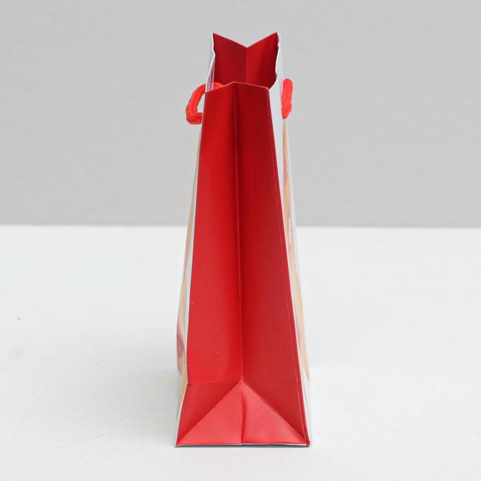 Пакет ламинированный вертикальный «Теплые объятья», 12 × 15 × 5,5 см