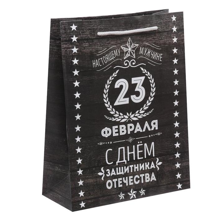 Пакет ламинированный вертикальный «Защитнику», 18 × 23 × 8 см