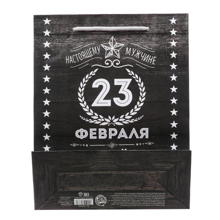 Пакет ламинированный вертикальный «Защитнику», 18 × 23 × 8 см