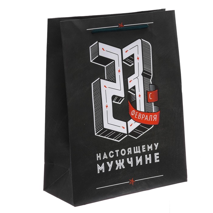 Пакет ламинированный вертикальный «Сила и воля», 18 × 23 × 8 см