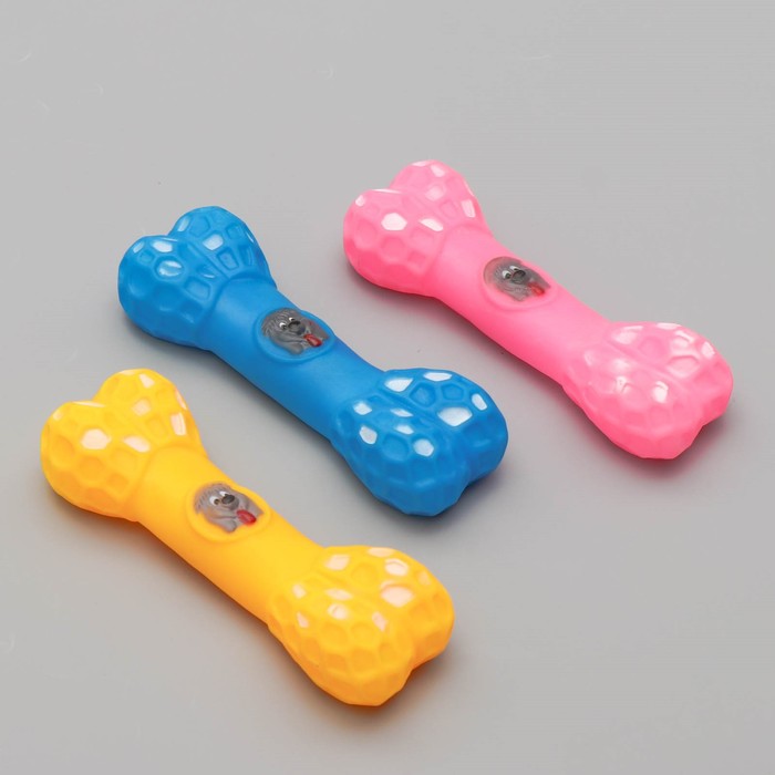 Игрушка пищащая "Кость с портретом", 15 см, микс цветов