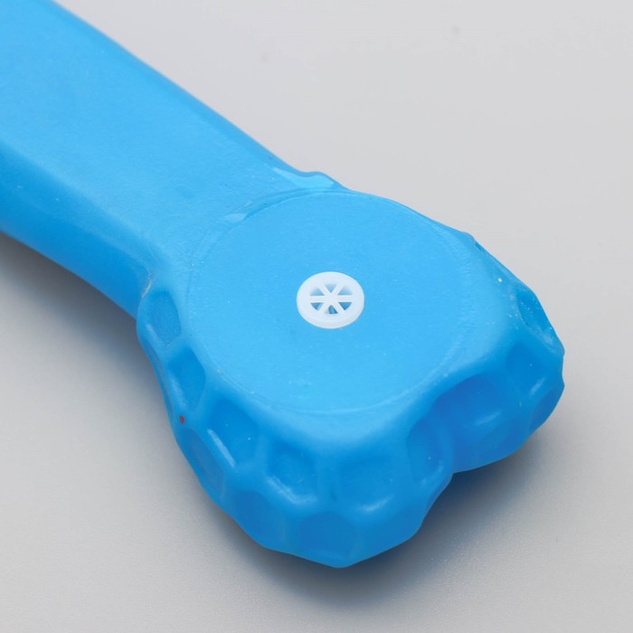 Игрушка пищащая "Кость с портретом", 15 см, микс цветов