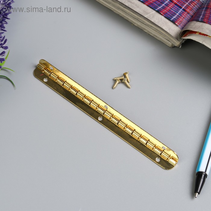 

Петля карточная удлинённая для шкатулок металл угол открывания 180 град + гвозд. 10х1,5 см