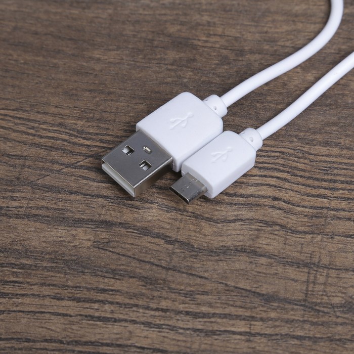 Лампа настольная 3 режима "Лампион" LED лента, 3W USB, АКБ МИКС 13х13х48 см