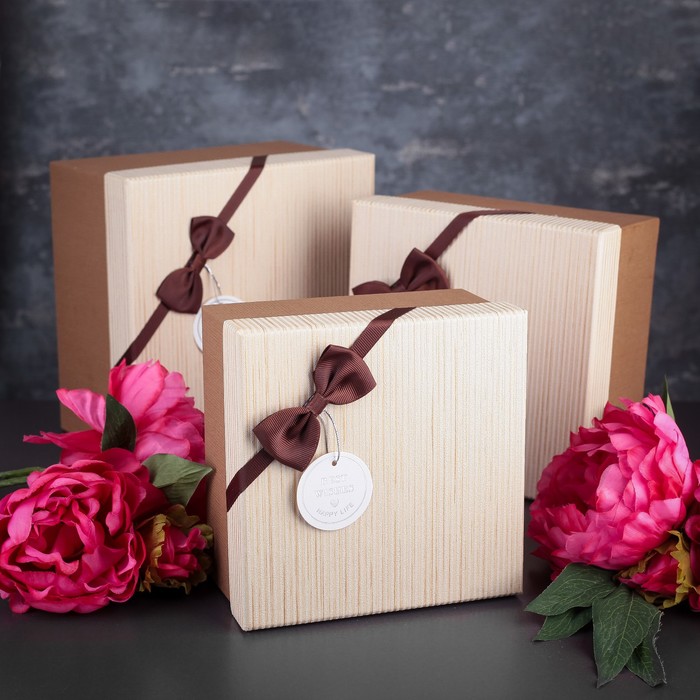 Набор коробок 3в1, 21 х 21 х 12,3 - 17 х 17 х 9,3 см МИКС